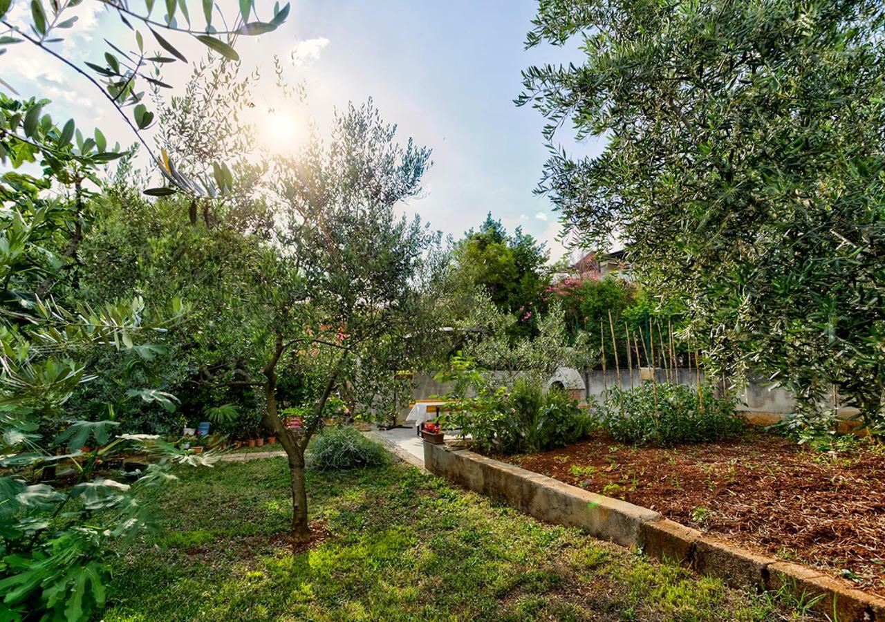 Apartments Vretenar Novigrad Istria المظهر الخارجي الصورة